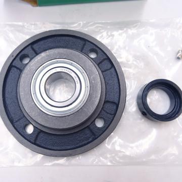 INA RTUE80 Bearing Unit