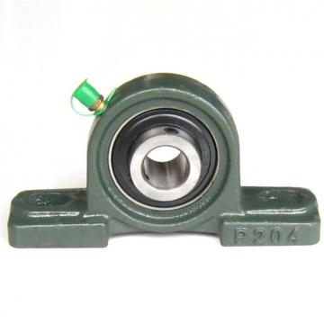 INA RTUE80 Bearing Unit