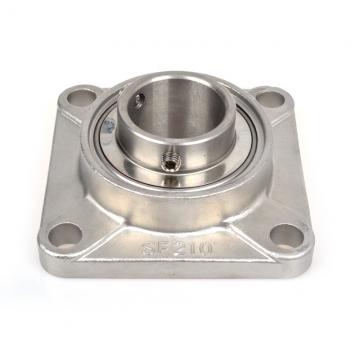 INA RTUE40 Bearing Unit