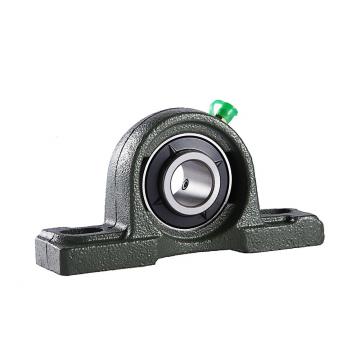 INA RTUEY20 Bearing Unit