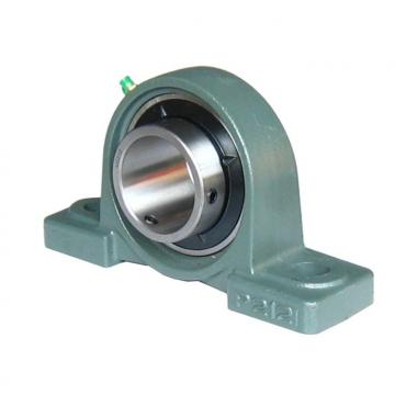 INA RTUEY80 Bearing Unit