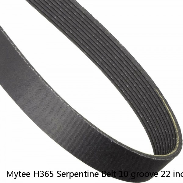 Mytee H365 Serpentine Belt 10 groove 22 inches PolyV Belts 220-J-10 Jianli 220J 