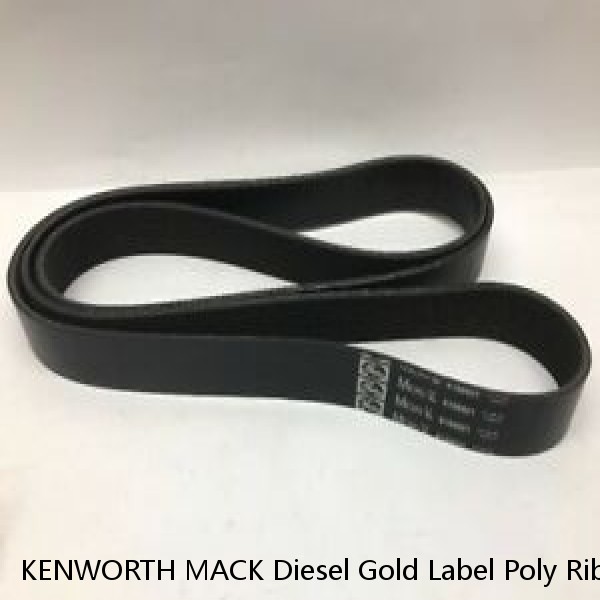 KENWORTH MACK Diesel Gold Label Poly Rib Serpentine Belt Dayco 5100670