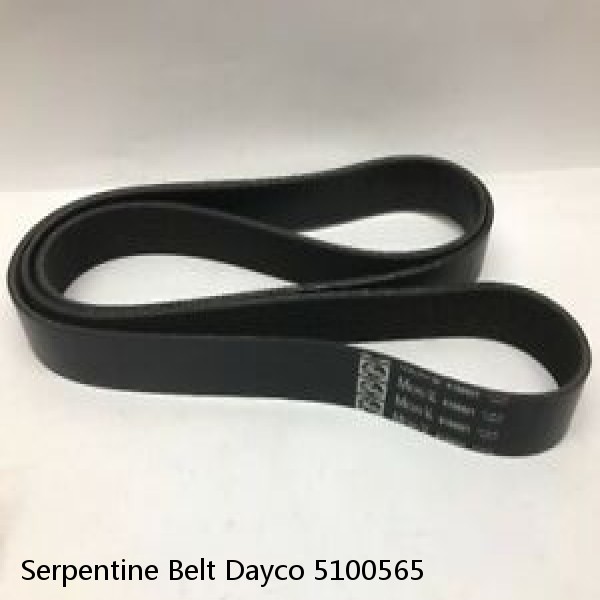 Serpentine Belt Dayco 5100565