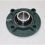 SKF SYNT 65 LTF Bearing Unit