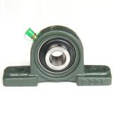 INA RTUE35 Bearing Unit