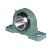 INA RTUE45 Bearing Unit