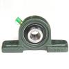 INA RTUE45 Bearing Unit