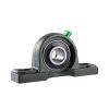 INA RTUE65-214 Bearing Unit #1 small image