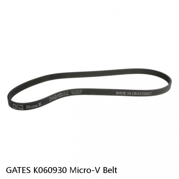 GATES K060930 Micro-V Belt #1 small image