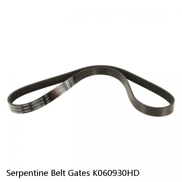 Serpentine Belt Gates K060930HD #1 small image