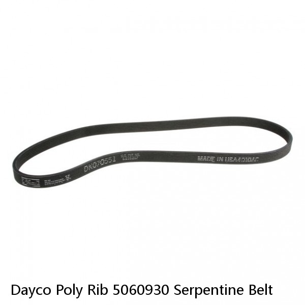 Dayco Poly Rib 5060930 Serpentine Belt #1 small image