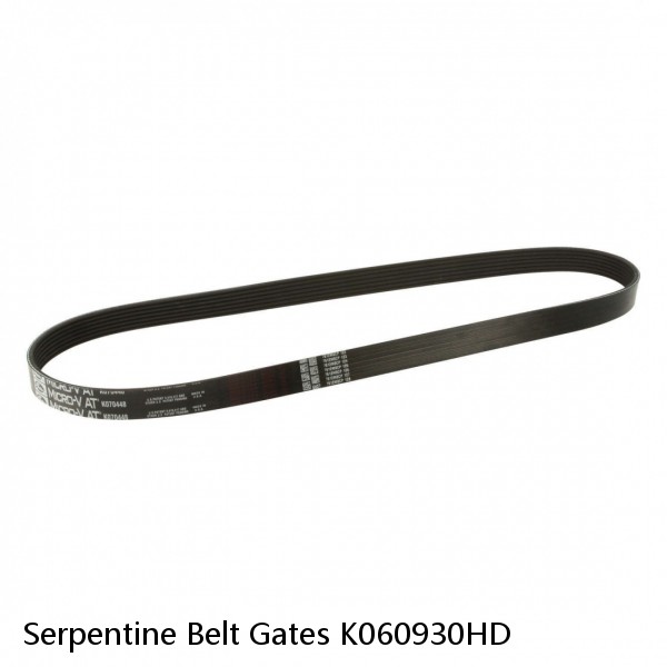 Serpentine Belt Gates K060930HD #1 small image