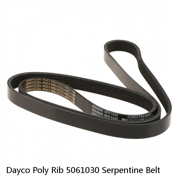 Dayco Poly Rib 5061030 Serpentine Belt #1 small image