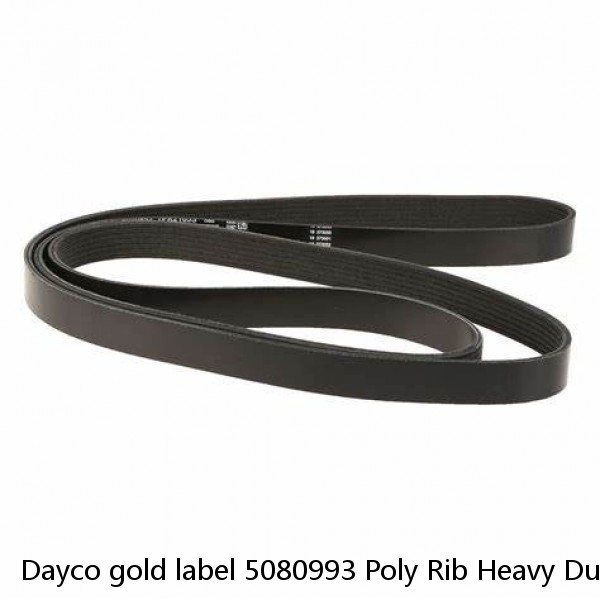 Dayco gold label 5080993 Poly Rib Heavy Duty Belt 8pk2520 ~ FORD F-150 5.4L #1 small image