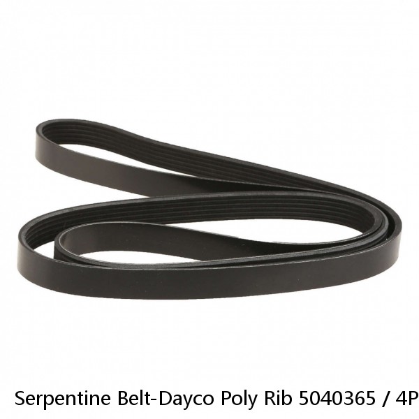 Serpentine Belt-Dayco Poly Rib 5040365 / 4PK0925 #1 small image