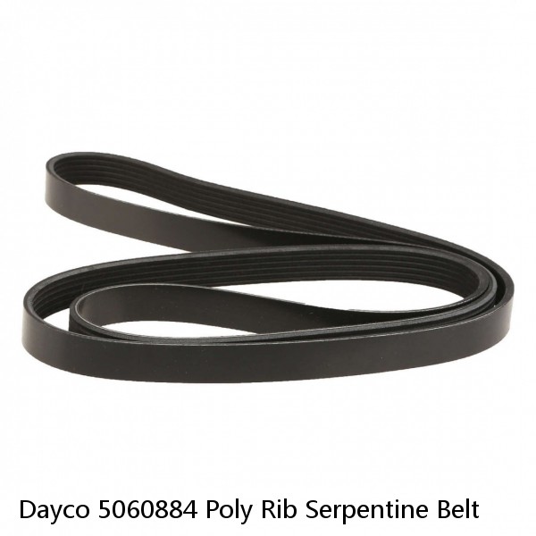 Dayco 5060884 Poly Rib Serpentine Belt #1 small image