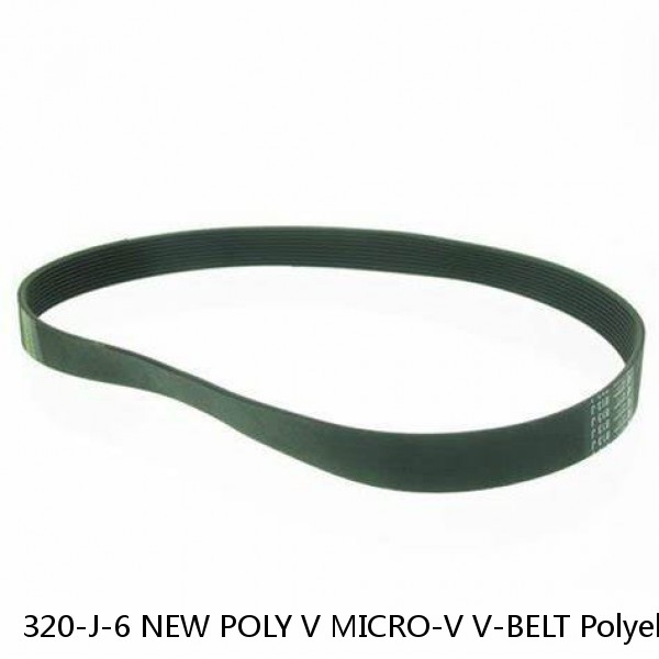 320-J-6 NEW POLY V MICRO-V V-BELT Polyelt 320J6 PolyV Belt #1 small image