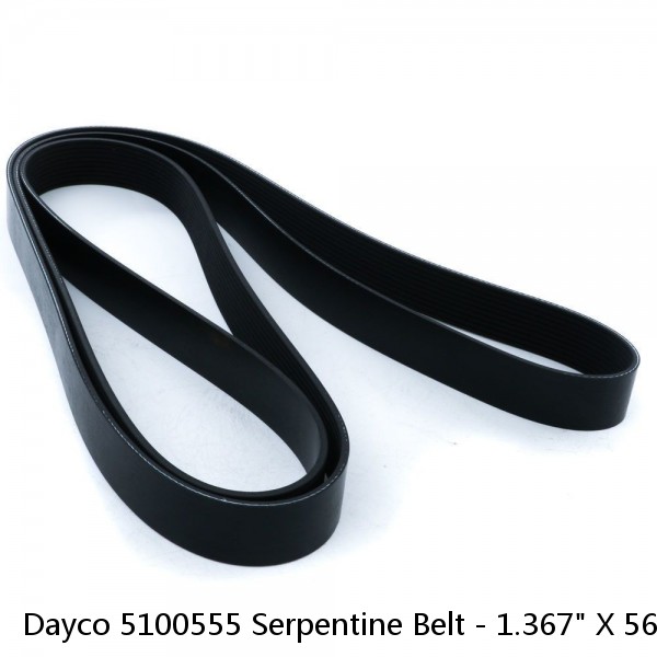 Dayco 5100555 Serpentine Belt - 1.367" X 56.022" - 10 Ribs - 10PK1410
