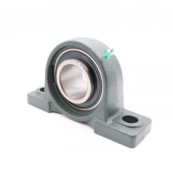 SKF SYNT 60 FTF Bearing Unit #2 image