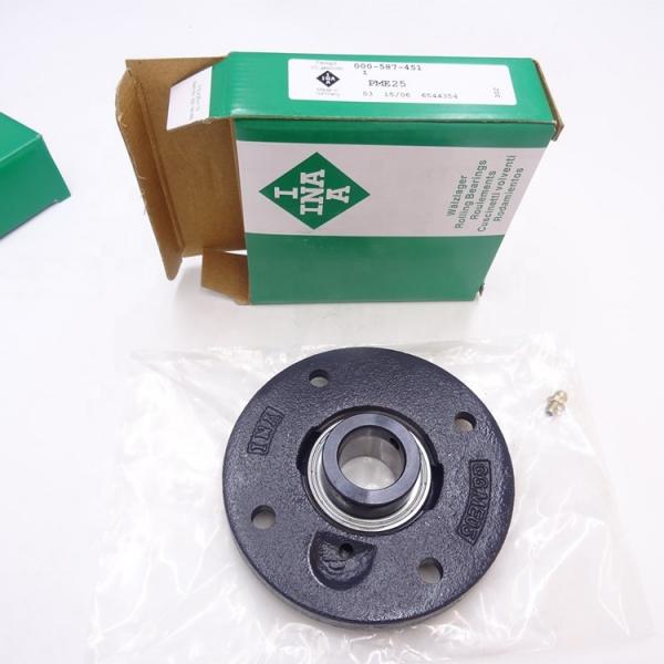 INA RTUE40 Bearing Unit #2 image