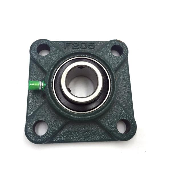 INA RTUE50 Bearing Unit #4 image