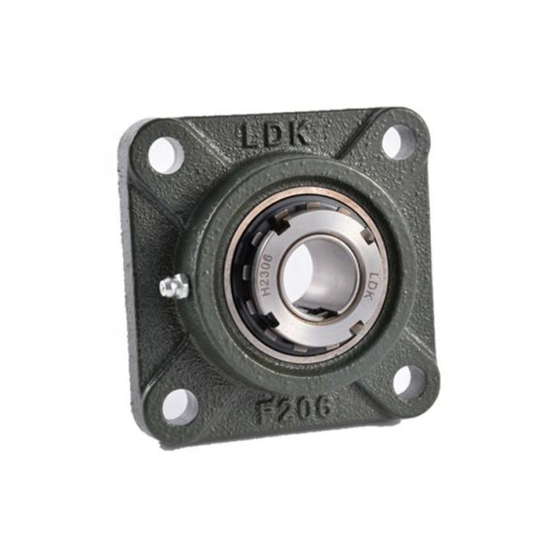 INA RTUE55 Bearing Unit #4 image