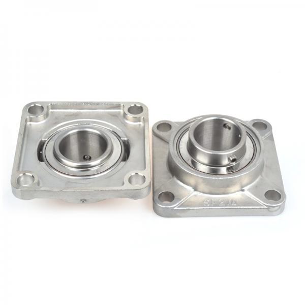 INA RTUE55 Bearing Unit #1 image