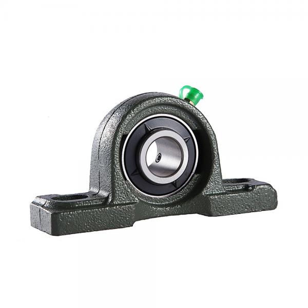 INA RTUE45 Bearing Unit #3 image