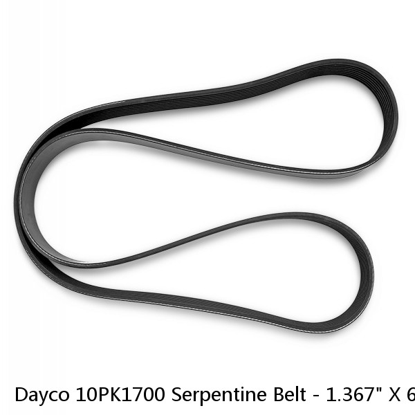 Dayco 10PK1700 Serpentine Belt - 1.367" X 67.00" - 10 Ribs #1 image